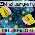 Ziyinzhuangyang cialis5